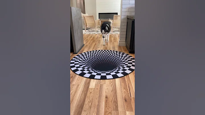 Dogs funny reaction to entering optical illusion rug! #shorts - DayDayNews