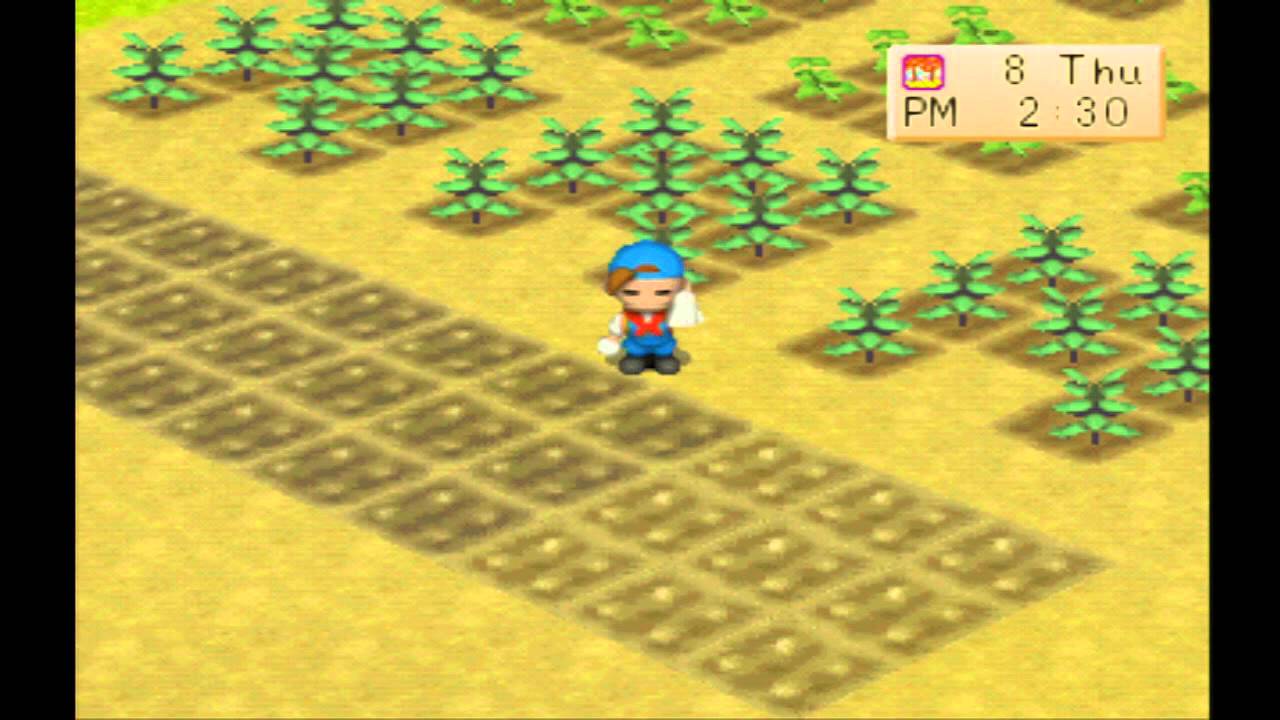games people play Harvest Moon: Back to Nature - 014 - Autumn 5 ~ Autumn 10 [Year 1]