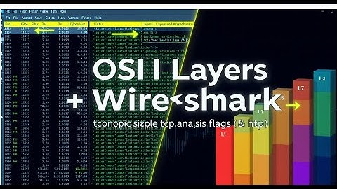 OSI LAYER On wireshark