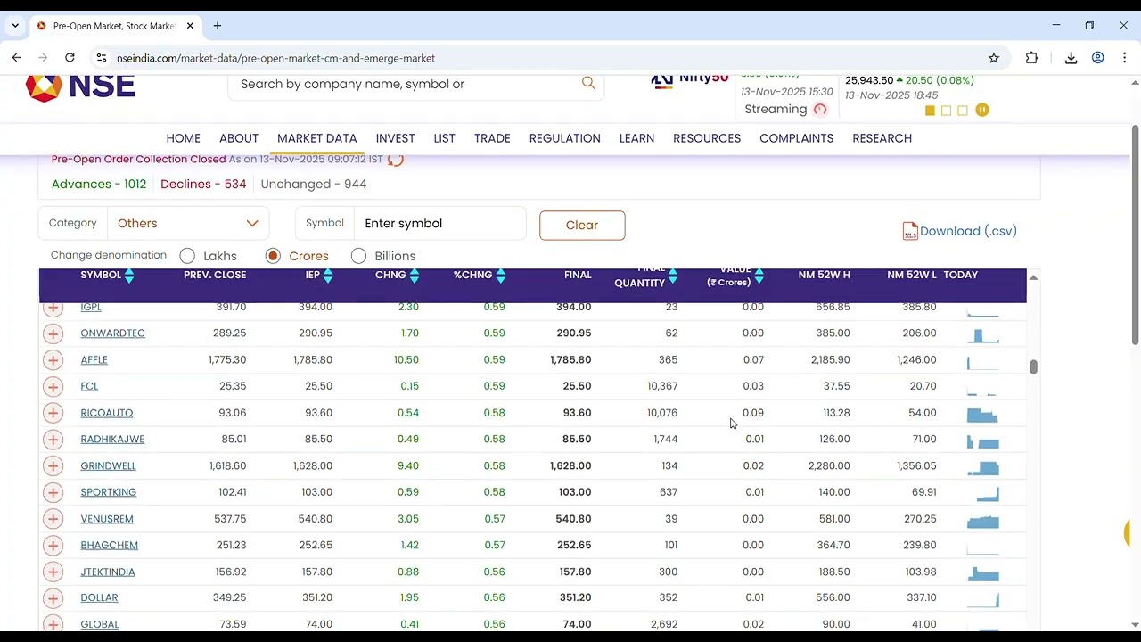 Pre Open Market data on 13.11.2025