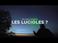 O sont passes les lucioles   documentaire pollution lumineuse 2021