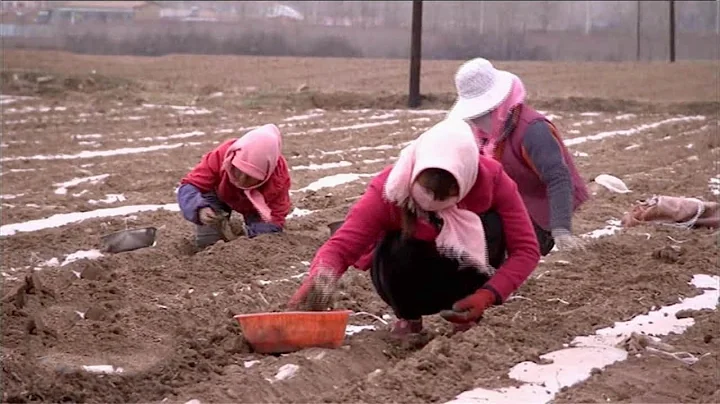 Targeted Poverty Alleviation II: Why 'Targeted'? What’s 'Precision'?