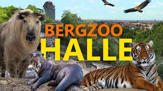 Bergzoo Halle | Zoo-Eindruck