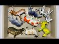 Satisfying ASMR Tapping &amp; Scratching 🐾 Safari &amp; Farm Animal Toys