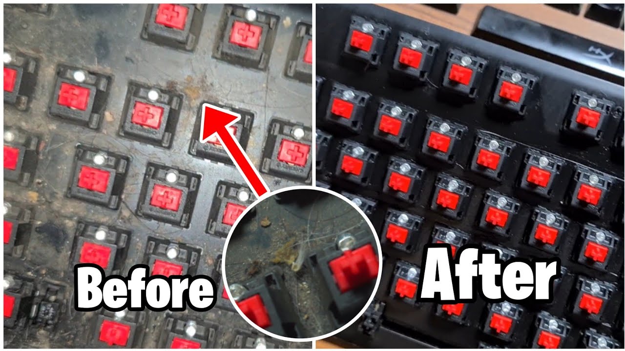 I Cleaned 6 Year Old BUG INFESTED Mechanical Keyboard! - YouTube