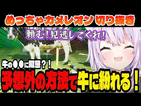 【めっちゃカメレオン】誰も予想してないところに隠れるおかゆ！【猫又おかゆ/大神ミオ/戌神ころね/さくらみこ/尾丸ポルカ/ホロライブ切り抜き】