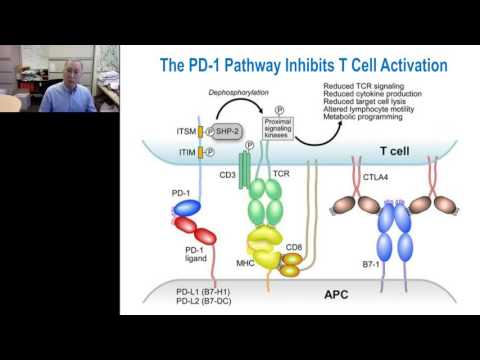 Videó: A PD-1 / PD-L1 út Blokkolása Gliomában: Potenciális új Kezelési Stratégia