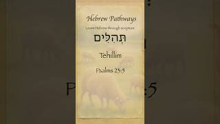 📖 Psalm 23:5 in Hebrew | Tehillim 23:5 | Learn Biblical Hebrew