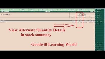 Tally TDL for View Alternate Quantity in Stock Summary View  Tally add on for Alternate Quantity in