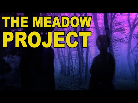 The Meadow Project, Missing 411 and Portals