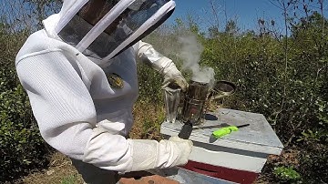 [How To] Light A Smoker With A Torch #colesfarmnc #beekeeping #honeybee