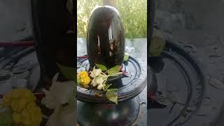 Kedarnath mein jao to Puja Pradeep Mishra #status