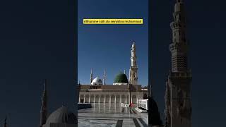 yeşil kubbe🩷🌹♥️#shorts #dinivideolar #islam #medine #ravza #hac #umre