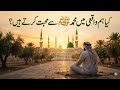 KIA HUM WAQI NABI SE MOHANBAT KRTY HE?