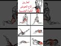 تمارين كيجل قاع الحوض للقوة الجنسية للرجال