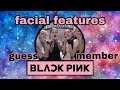 Can you guess the @BLACKPINK member by their FACIAL FEATURES?| 사랑Blinks 🐰