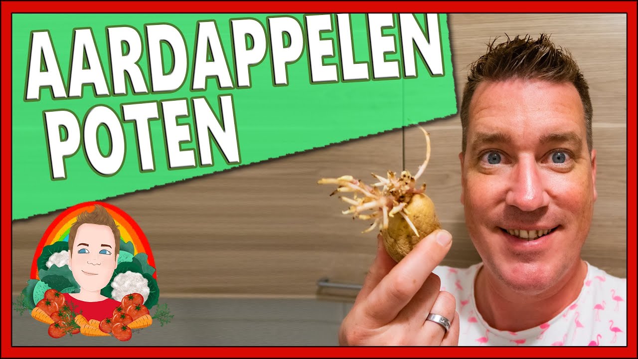 ALLES OVER AARDAPPELEN KWEKEN | Moestuin vlog 157 | aardappelen planten, aardappelen kweken