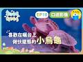 🐢歡迎光臨我的牧場𝗘𝗣𝟭𝟬口述影像版 ▸▸ 𝟭𝟮歲女孩的烏龜場生活 — 喜歡在曬台上做伙擺態的小烏龜｜小公視