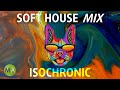 Soft House Upbeat Study Music   Isochronic Tones - French Bulldog Mix