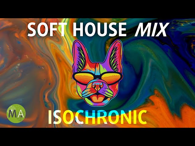 Soft House Upbeat Study Music + Isochronic Tones - French Bulldog Mix class=