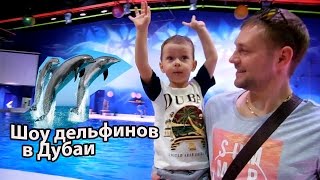 Дельфинарий Дубаи / Шоу дельфинов(https://www.youtube.com/user/SaibelEkaterina Наши Ежедневные влоги Всем привет и добро пожаловать, на этом канале мы..., 2016-03-19T07:39:16.000Z)