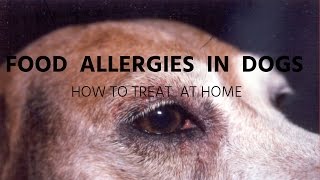In this video dr jones shows you why food allergy happens your dog,
and the most common signs symptoms. then goes on to show how best ...