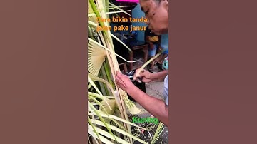 Thumbnail of cara bikin tanda hajatan pake janur kuning #riantodekorasijanur