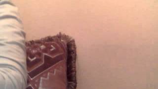 Capture 20121127