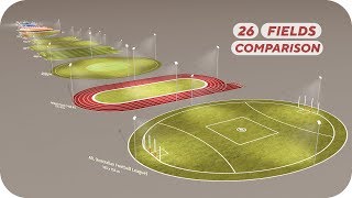Sports Arena Size Comparison | 3D ️