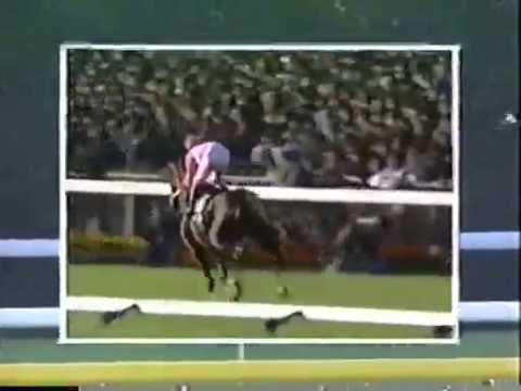 1995年 朝日杯3歳ステークス（GⅠ） | バブルガムフェロー | JRA公式