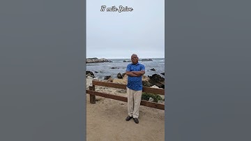 Thumbnail of The 17-mile drive through Pebble beach and Pacific grove #California#travel #nature#coast line