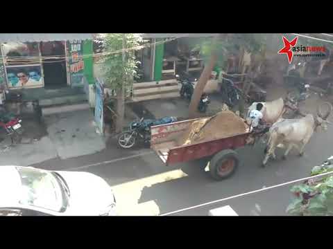 மணல் திருடர்கள் SAND Robbers