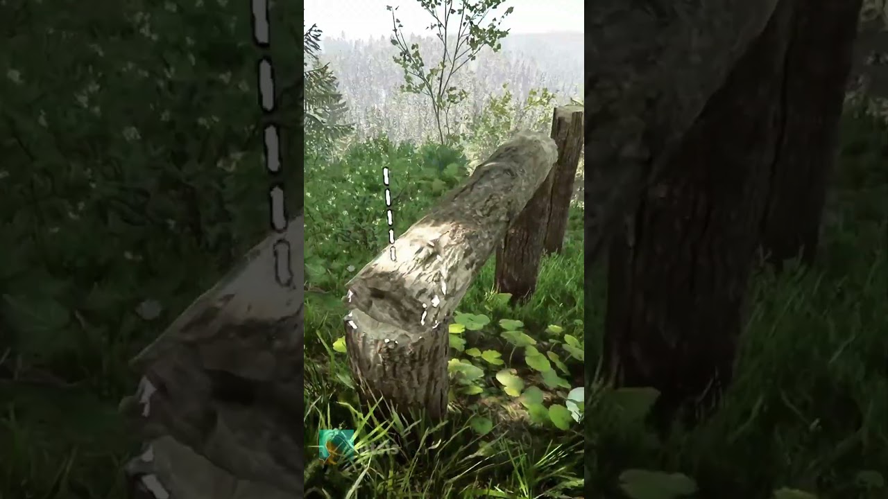 SOTF Satisfying Build