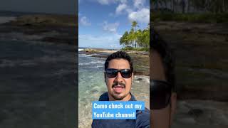 Stock Investing 101: Learn How to Invest in Stocks with Me in Beautiful Hawaii! #shorts