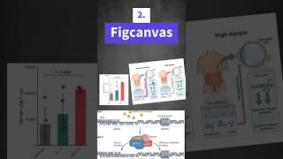Stunning Scientific Diagrams in Seconds with AI tools