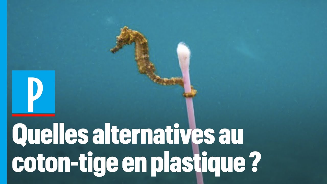 Interdiction du coton-tige en plastique : les alternatives pour le  remplacer 