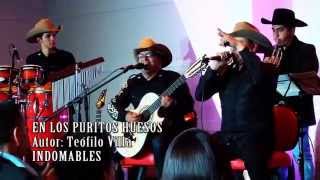 Video thumbnail of "INDOMABLES - EN LOS PURITOS HUESOS"