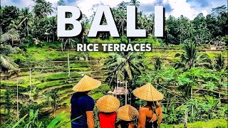 BALI ACTIVITIES TRIP AND TRAVEL RICE TERRACE 2023