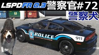 【豪華・大迫力！】警察犬プレート(流通は最後かも？) 織戸学 - 秋の全国交通安全運動 警察署長就任！（横浜市都筑区