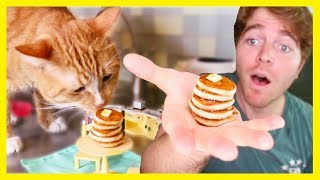 MAKING TINY FOOD FOR MY CAT!