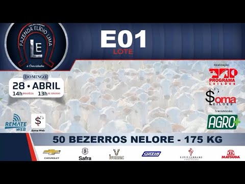 LOTE E01