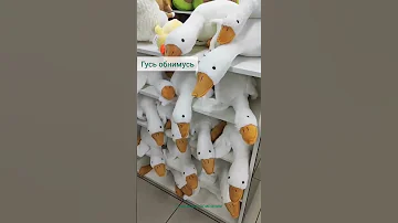 Гусь обнимусь