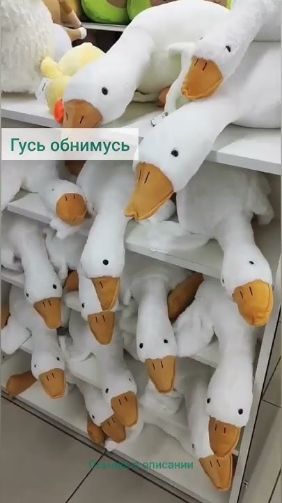 Гусь обнимусь - YouTube