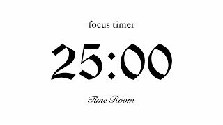 25 Minute Silent Timer with Alarm | Focus & Relax