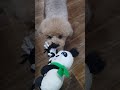 Перетяжки