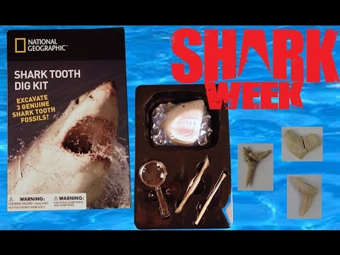 Video: Dåliga Nyheter: Shark Week Ljuger För Dig - Matador Network