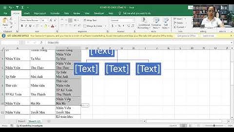 CÁCH TẠO SƠ ĐỒ TỔ CHỨC CÔNG TY TRONG EXCEL
