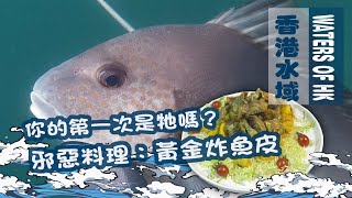【漁人推介】香港水域 阿火帶大家下海,介紹初學者最大機會打到的魚-細鱗 教大家煮邪惡美食 黃金炸魚皮 食譜 Catch And Cook Recipe Seafood SWEETLIPS 【漁人推介】香港水域 阿火帶大家下海,介紹初學者最大機會打到的魚-細鱗 教大家煮邪惡美食 黃金炸魚皮 食譜 Catch And Cook Recipe Seafood SWEETLIPS