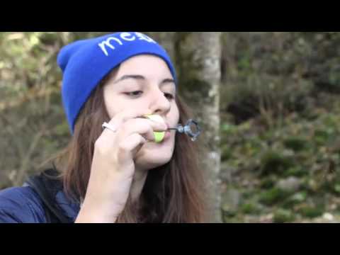 საპნის ბუშტების ფესტივალი