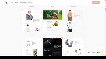 Karton Multipurpose WooCommerce Theme woocommerce wordpress dokan multi vendor Erika